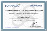 Rédacteur web certifié SEO